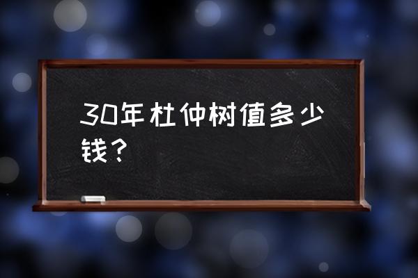 东营哪里有杜仲基地批发价格 30年杜仲树值多少钱？