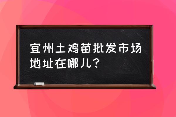 哪个地方有土鸡苗批发市场 宜州土鸡苗批发市场地址在哪儿？