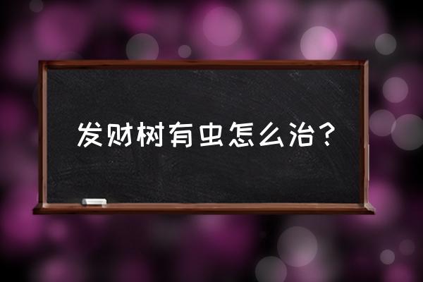 发财树叶上生虫子怎么办 发财树有虫怎么治？