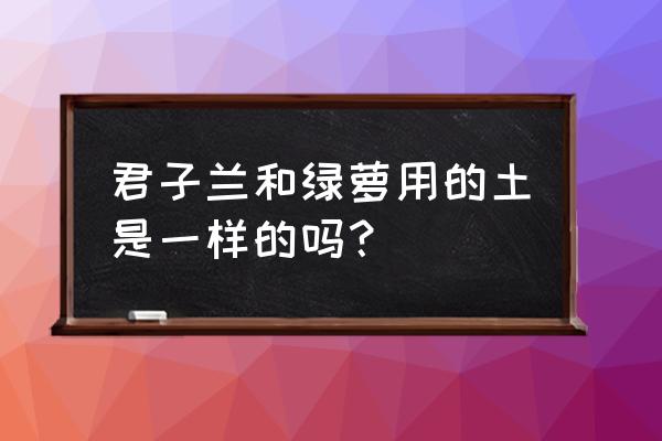 君子兰肥可以上绿萝吗 君子兰和绿萝用的土是一样的吗？