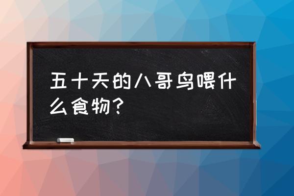 小鸡饲料泡软可以喂雏鸟吗 五十天的八哥鸟喂什么食物？