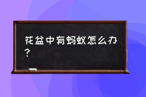 花盆的土壤里有蚂蚁怎么办 花盆中有蚂蚁怎么办？