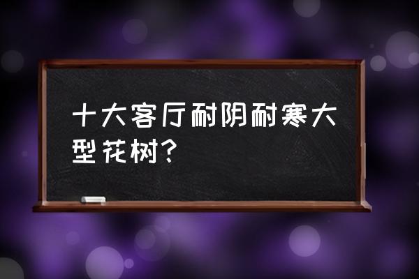 大客厅用什么花树盆栽好看 十大客厅耐阴耐寒大型花树？