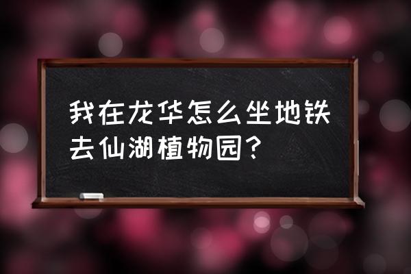 北站去仙湖植物园怎么坐地铁 我在龙华怎么坐地铁去仙湖植物园？