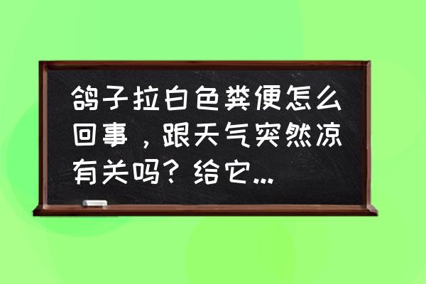 鸽子大便中有饲料怎么回事 鸽子拉白色粪便怎么回事，跟天气突然凉有关吗？给它吃什么药呀？