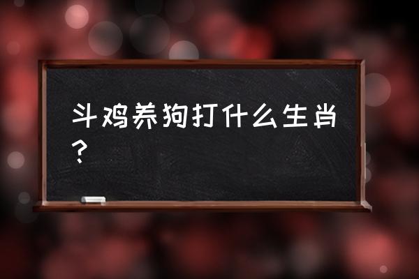 属羊的人不能养狗吗 斗鸡养狗打什么生肖？