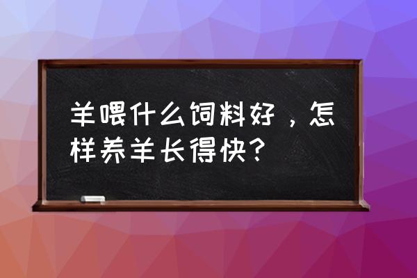 养羊喂什么饲料长的快呢 羊喂什么饲料好，怎样养羊长得快？