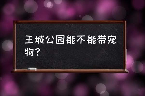 洛阳有没有宠物游泳的地方 王城公园能不能带宠物？