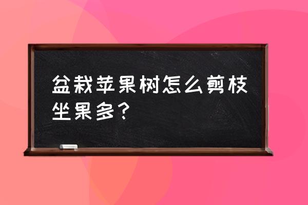 盆栽观赏苹果树的树形较哪些 盆栽苹果树怎么剪枝坐果多？