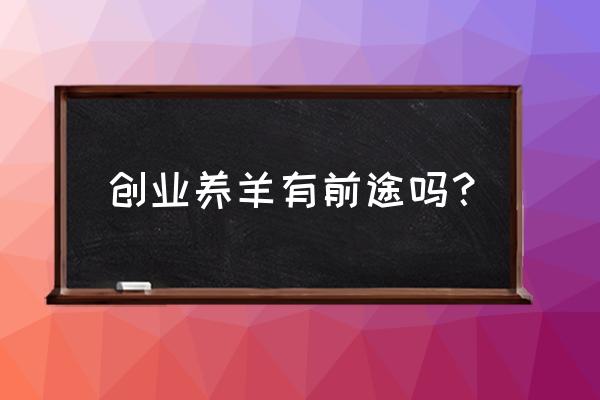 创业选择养羊好不好 创业养羊有前途吗？