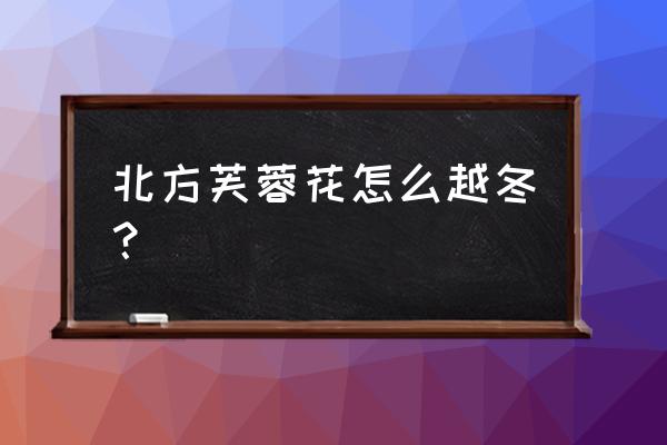 霜降以后北方花卉怎样过冬 北方芙蓉花怎么越冬？