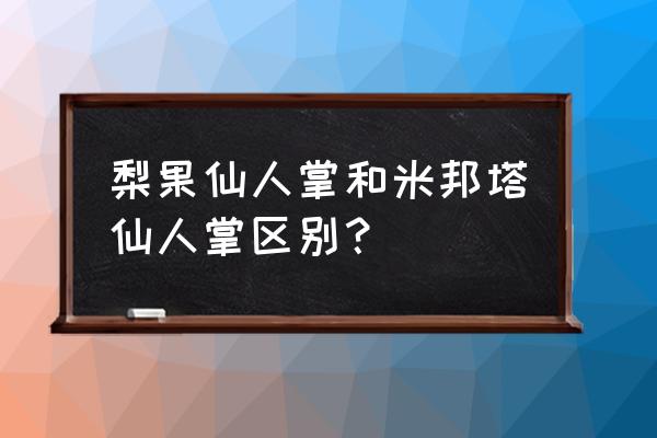 梨果仙人掌能食用吗 梨果仙人掌和米邦塔仙人掌区别？