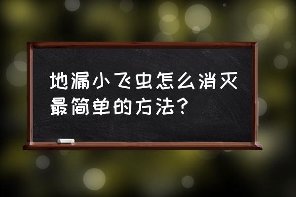 怎么清理地漏小飞虫 地漏小飞虫怎么消灭最简单的方法？