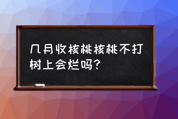 核桃是几月份成熟 几月收核桃核桃不打树上会烂吗？