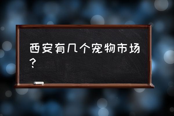 西安宠物批发市场在哪里 西安有几个宠物市场？