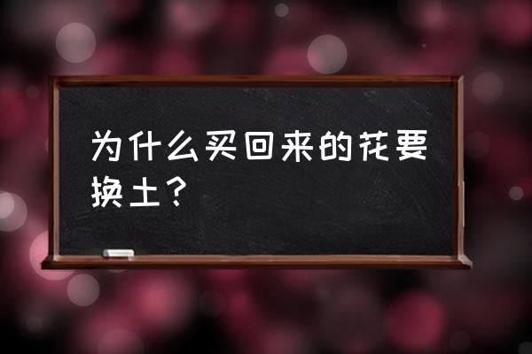 花盆为什么要经常换土 为什么买回来的花要换土？