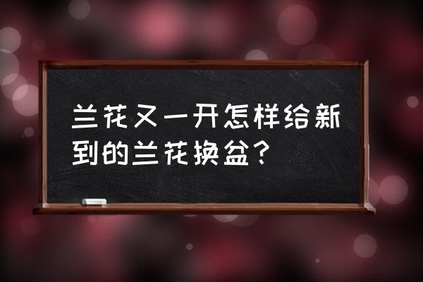 新买回来的兰花怎么换土 兰花又一开怎样给新到的兰花换盆？