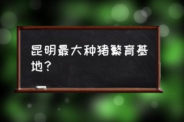 云南哪里有养猪场 昆明最大种猪繁育基地？