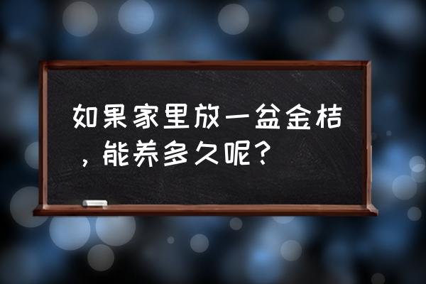 年桔盆景能放多久 如果家里放一盆金桔，能养多久呢？