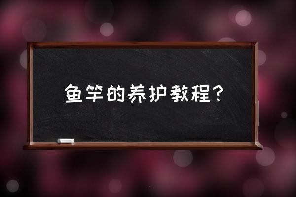 鱼竿有什么保养 鱼竿的养护教程？