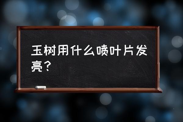 速效氮肥可以喷玉树叶子吗 玉树用什么喷叶片发亮？