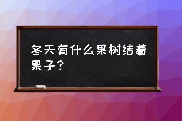 冬天什么水果树结果子 冬天有什么果树结着果子？