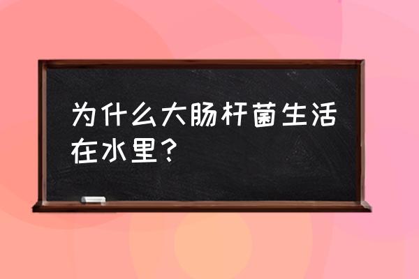 水产大肠杆菌检出怎么回事 为什么大肠杆菌生活在水里？