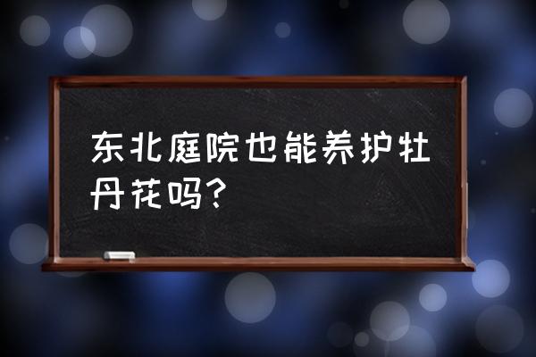 东北盆栽牡丹适合吗 东北庭院也能养护牡丹花吗？