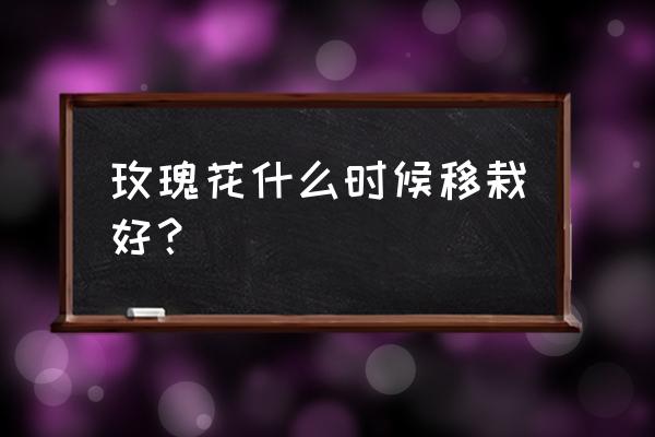 玫瑰花什么时候移植比较合适 玫瑰花什么时候移栽好？