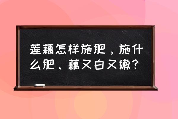 种藕用硝态氮肥好吗 莲藕怎样施肥，施什么肥。藕又白又嫩？