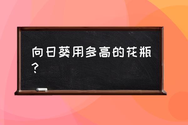 种向日葵需要多大花盆 向日葵用多高的花瓶？