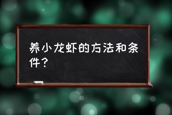 养殖小龙虾应该具备什么条件 养小龙虾的方法和条件？