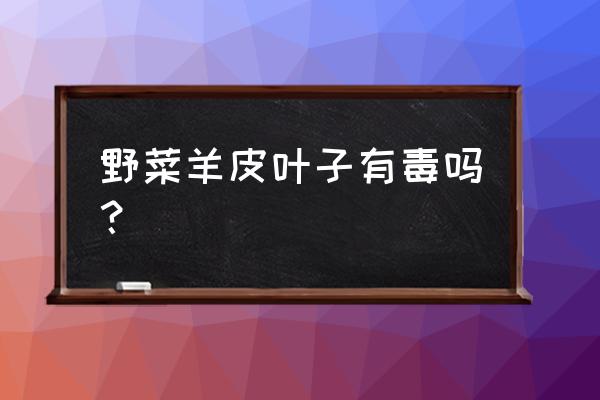 大黄与土大黄的鉴别及应用 野菜羊皮叶子有毒吗？