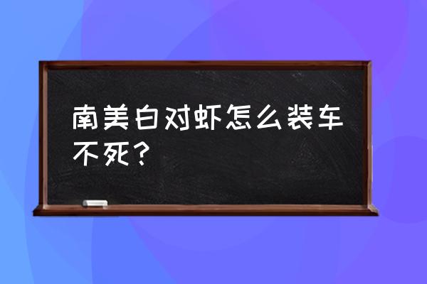 养殖南美白对虾容易碰到什么困难 南美白对虾怎么装车不死？