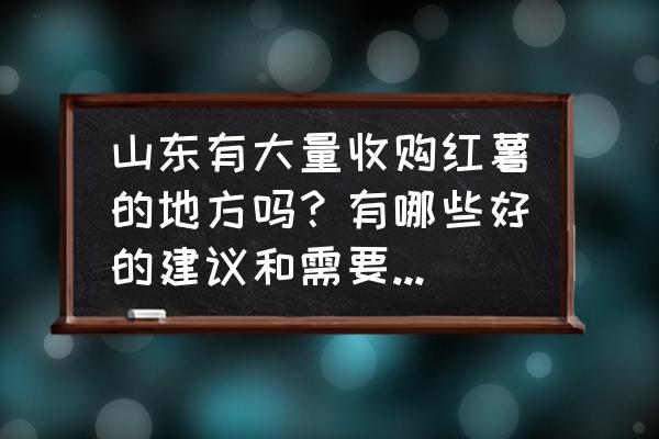 有人收红薯杆做什么 山东有大量收购红薯的地方吗？有哪些好的建议和需要注意的问题？