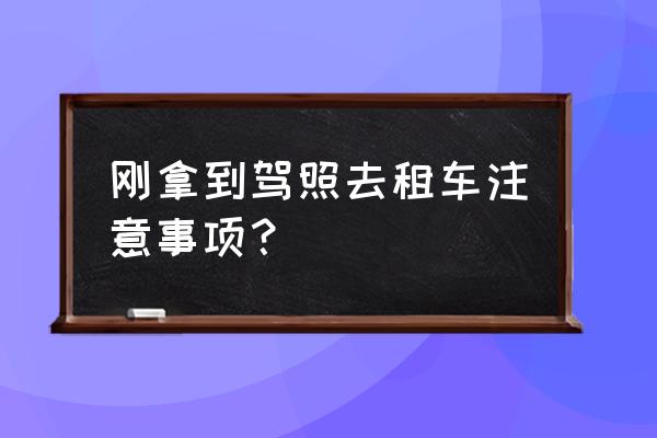 新手租车需要注意哪些细节 刚拿到驾照去租车注意事项？