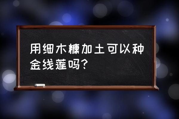 金线莲种植方法与技巧 用细木糠加土可以种金线莲吗？