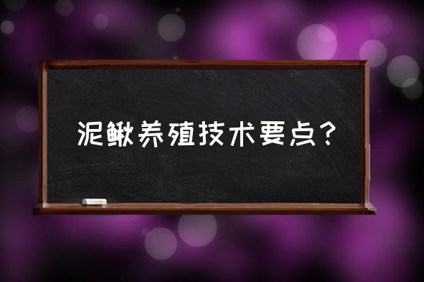 正确方式养泥鳅 泥鳅养殖技术要点？