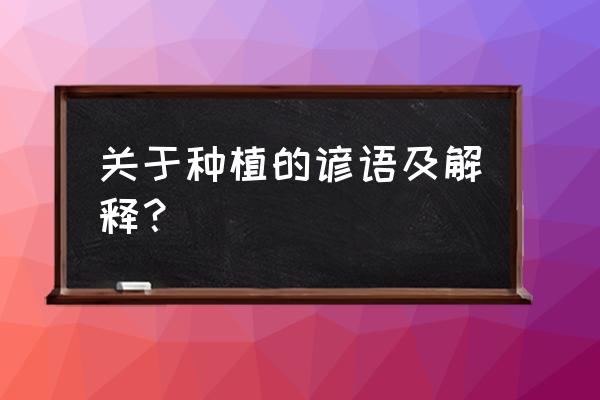 关于农业三句谚语 关于种植的谚语及解释？