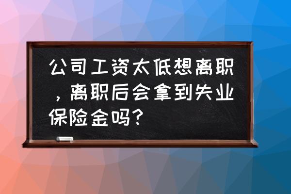 被劝退离职工资按最低标准发放 公司工资太低想离职，离职后会拿到失业保险金吗？