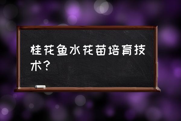 水花鱼苗吃什么长得快 桂花鱼水花苗培育技术？