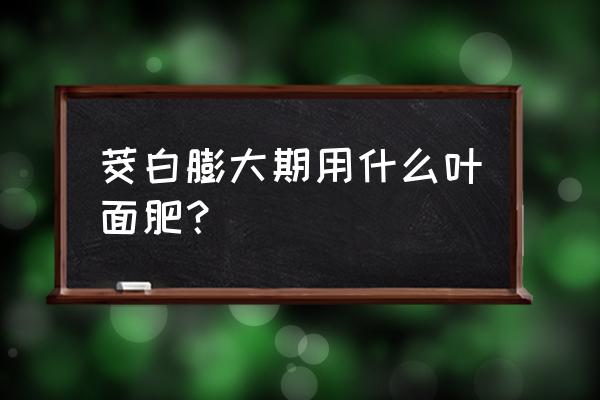 芦笋怎么种才能长得粗直 茭白膨大期用什么叶面肥？