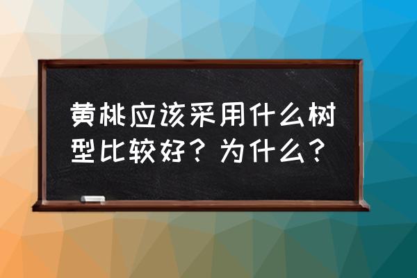 哪种黄桃最好 黄桃应该采用什么树型比较好？为什么？