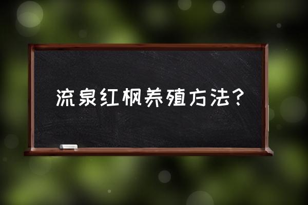 冬天移栽红枫需要浇水吗 流泉红枫养殖方法？