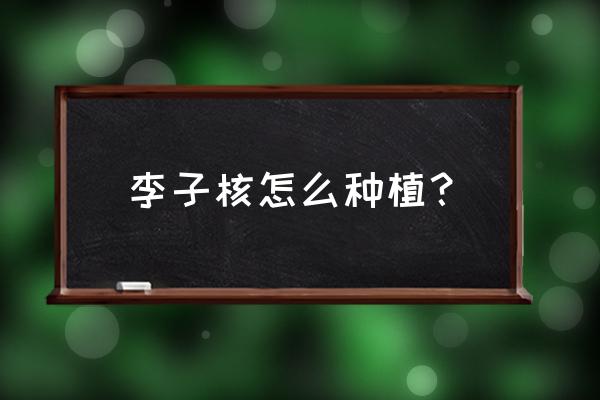 李树一般多少气温开始发芽 李子核怎么种植？