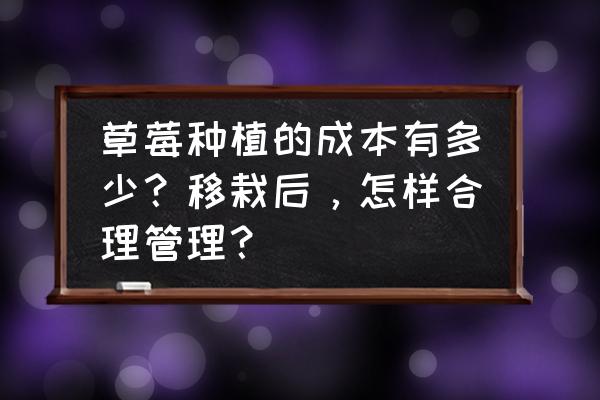 花盆里的草莓怎么样才能长得大 草莓种植的成本有多少？移栽后，怎样合理管理？