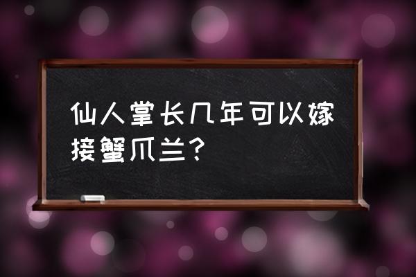 蟹爪兰与仙人掌的关系 仙人掌长几年可以嫁接蟹爪兰？