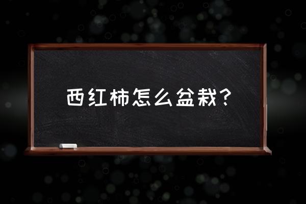 让番茄长得快的技巧 西红柿怎么盆栽？