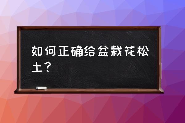 花卉土壤改良方法松土 如何正确给盆栽花松土？