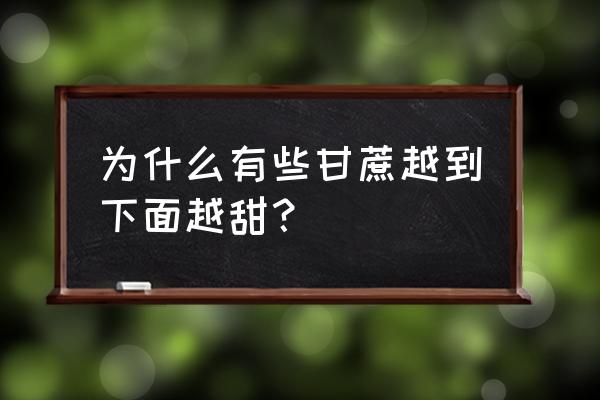 甘蔗粗的甜还是细的甜 为什么有些甘蔗越到下面越甜？